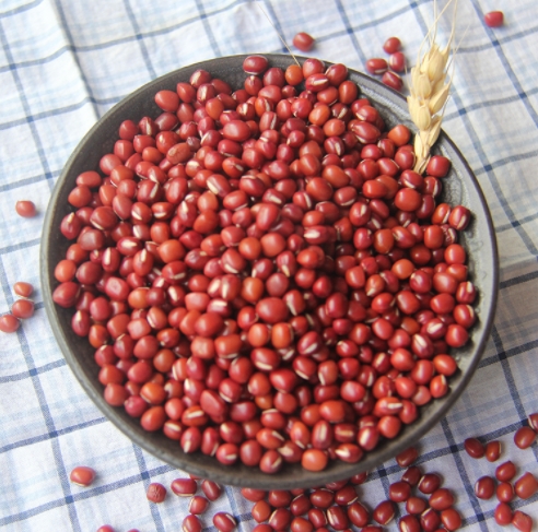 東北大紅豆 新貨大赤豆黑龍江農(nóng)家紅小豆薏米粥五谷雜